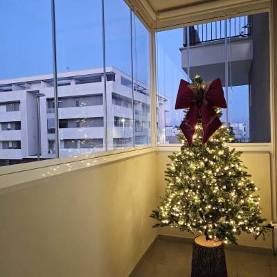 foto-CentroVetratePuglia (4)